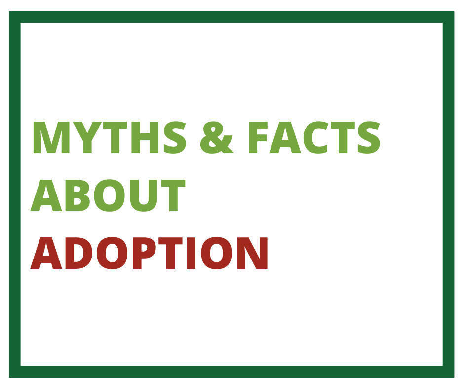 Adoption Myths 101: Adoption Costs $100,000