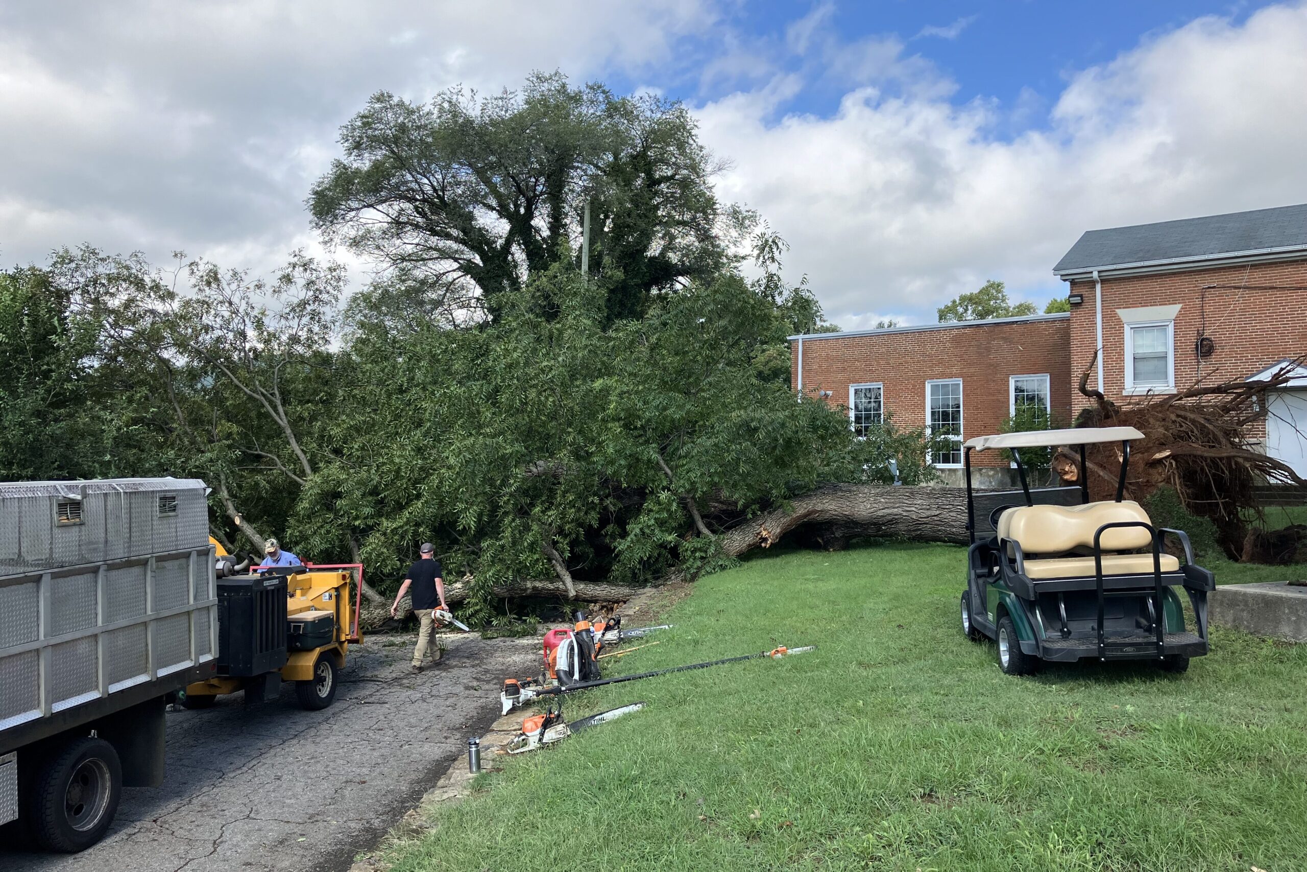 Pecan tree on HopeTree Family Services Salem campus uprooted due to Hurricane Helene remnants.